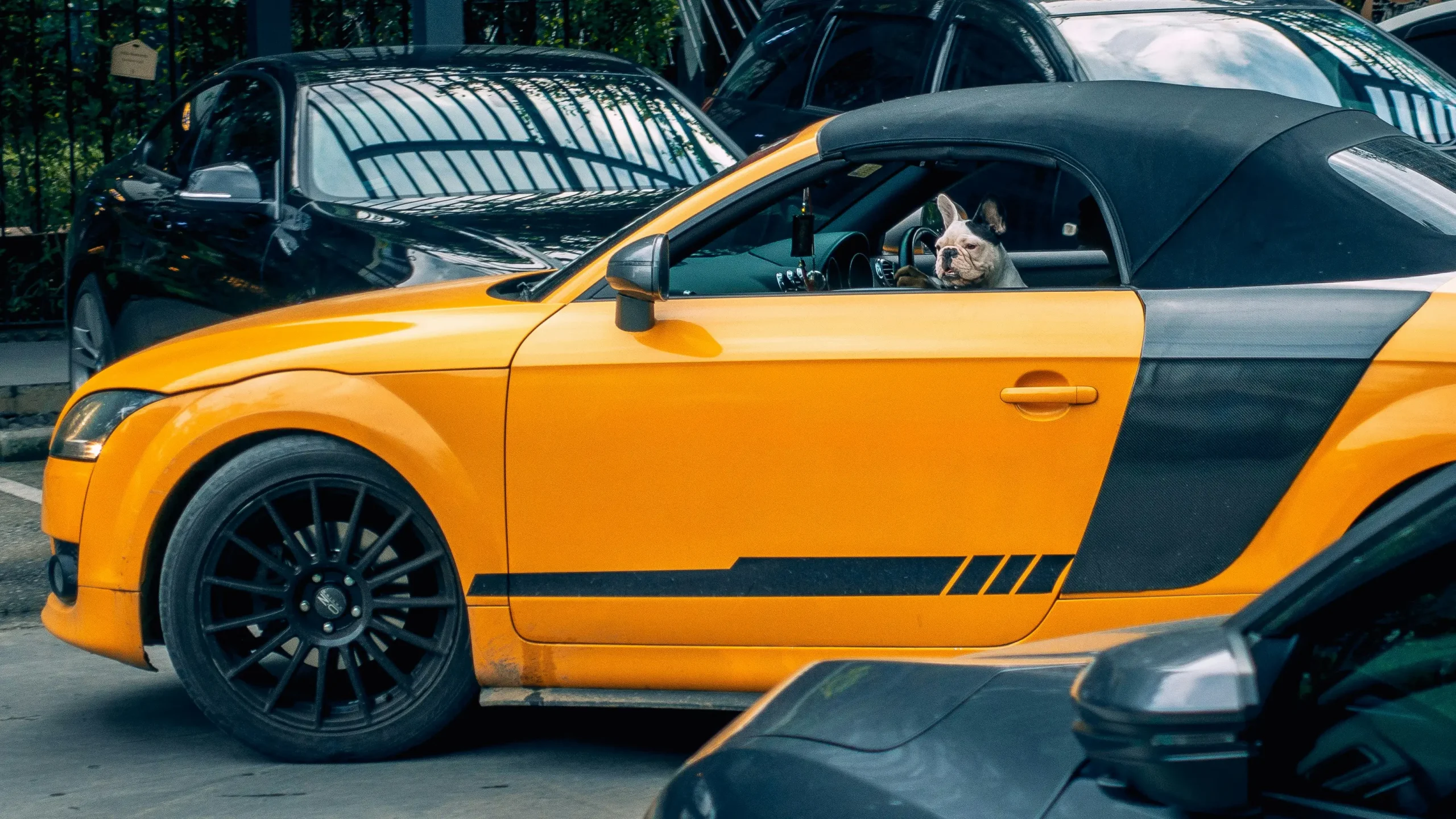 nicate lee A m yx6n7GU unsplash scaled