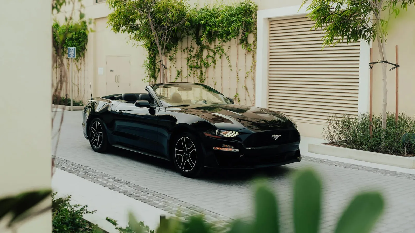 Ford Mustang Black Convertible